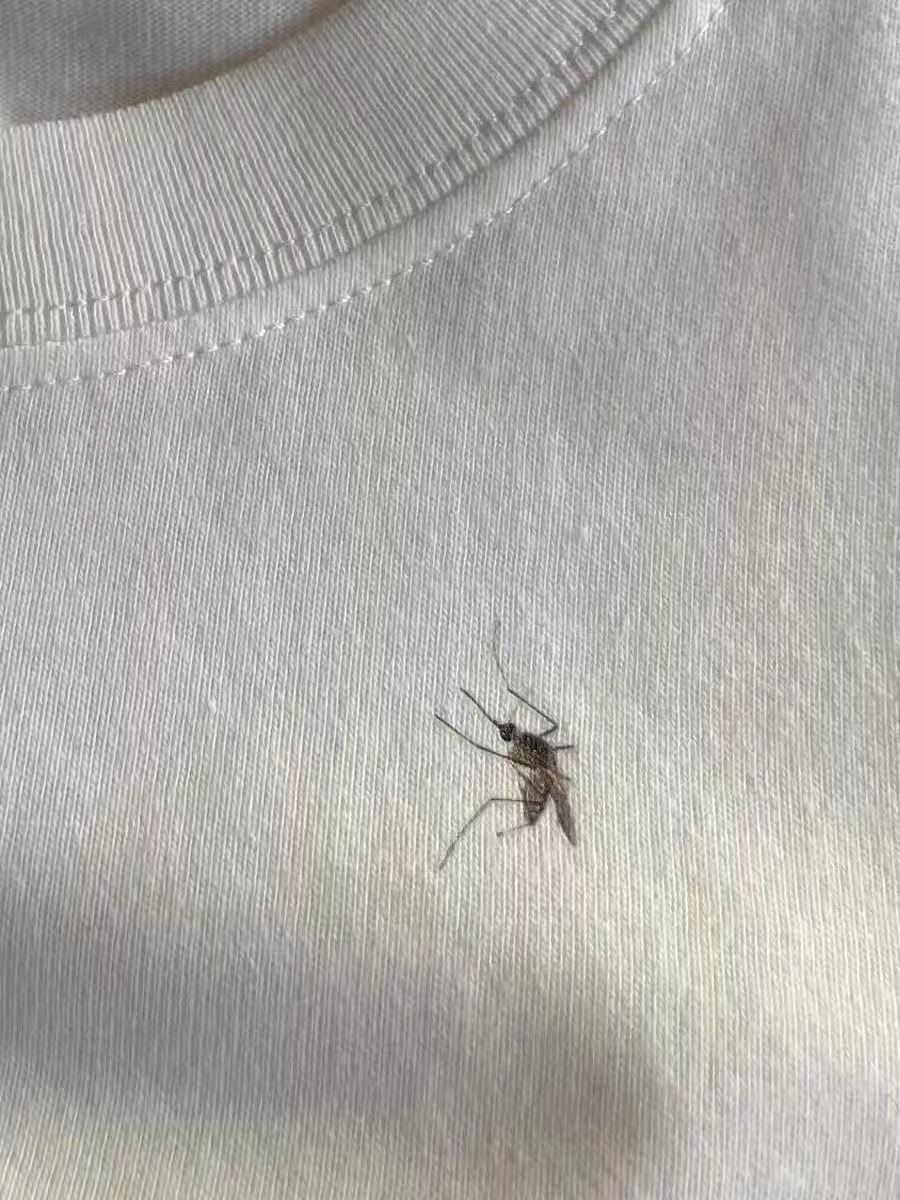 Creative Mosquito T-shirt