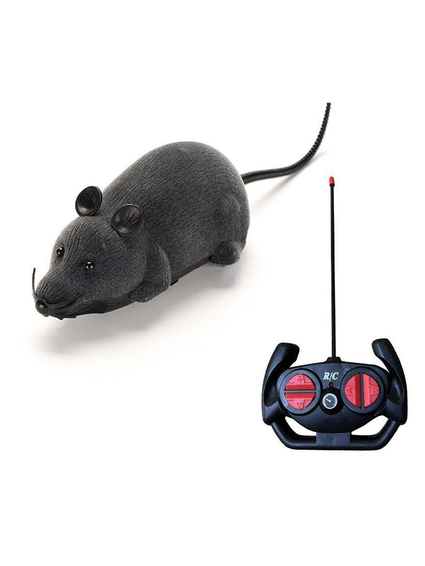 RC mouse