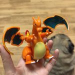 Pokemon Morph Ball