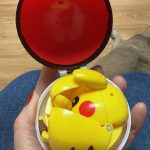 Pokemon Morph Ball