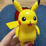 Pokemon Morph Ball