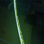 Demon Slayer Led sword